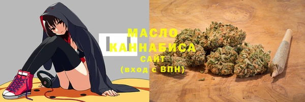 дмт Абаза