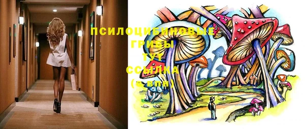 метадон Алексин