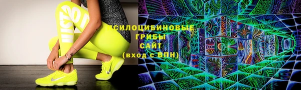 дмт Абаза
