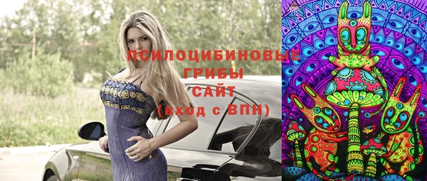 метадон Алексин