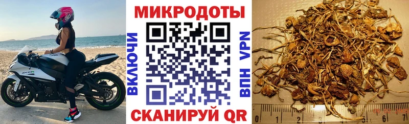 где найти   Талица  Галлюциногенные грибы мицелий 