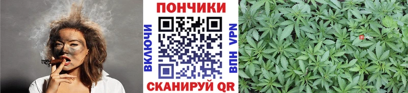 Бошки марихуана MAZAR где можно купить наркотик Талица